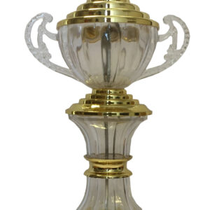 T6 Plastic Trophy