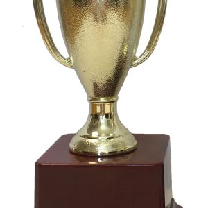 T94 Small Plastic Trophy