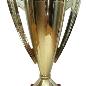 T96 Medium Plastic Trophy