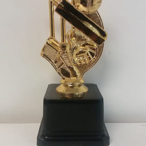 CR1A – CRICKET WICKETS TROPHY