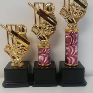 SET 1 – SET OF 3 CRICKET WICKETS TROPHIES