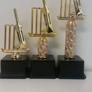 SET 2 – CRICKET WICKETS TROPHIES (CR2A, CR2B & CR2C)