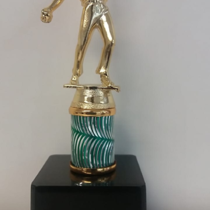 CR3B – CRICKET BOWLER TROPHY