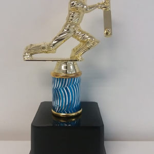 CR4B – CRICKET BATSMAN TROPHY