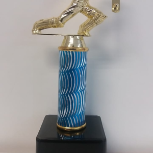 CR4C – CRICKET BATSMAN TROPHY