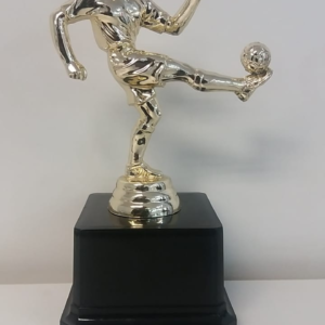 SC4A Soccer Player Trophy