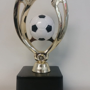 SC9A Soccer Ball Trophy