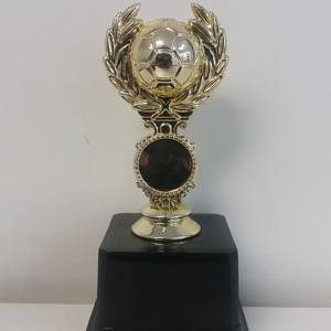 SC10A Soccer Ball Trophy