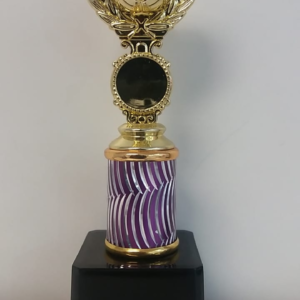 SC10B Soccer Ball Trophy