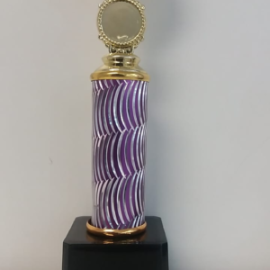 SC10C Soccer Ball Trophy