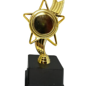 S38-Plastic Star Trophy