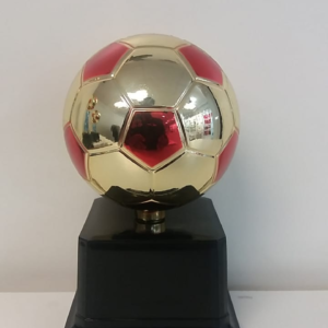 SC8A – Soccer Ball Trophy