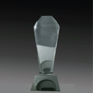 C223C Crystal Trophy