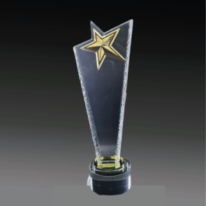 C230A Crystal Trophy