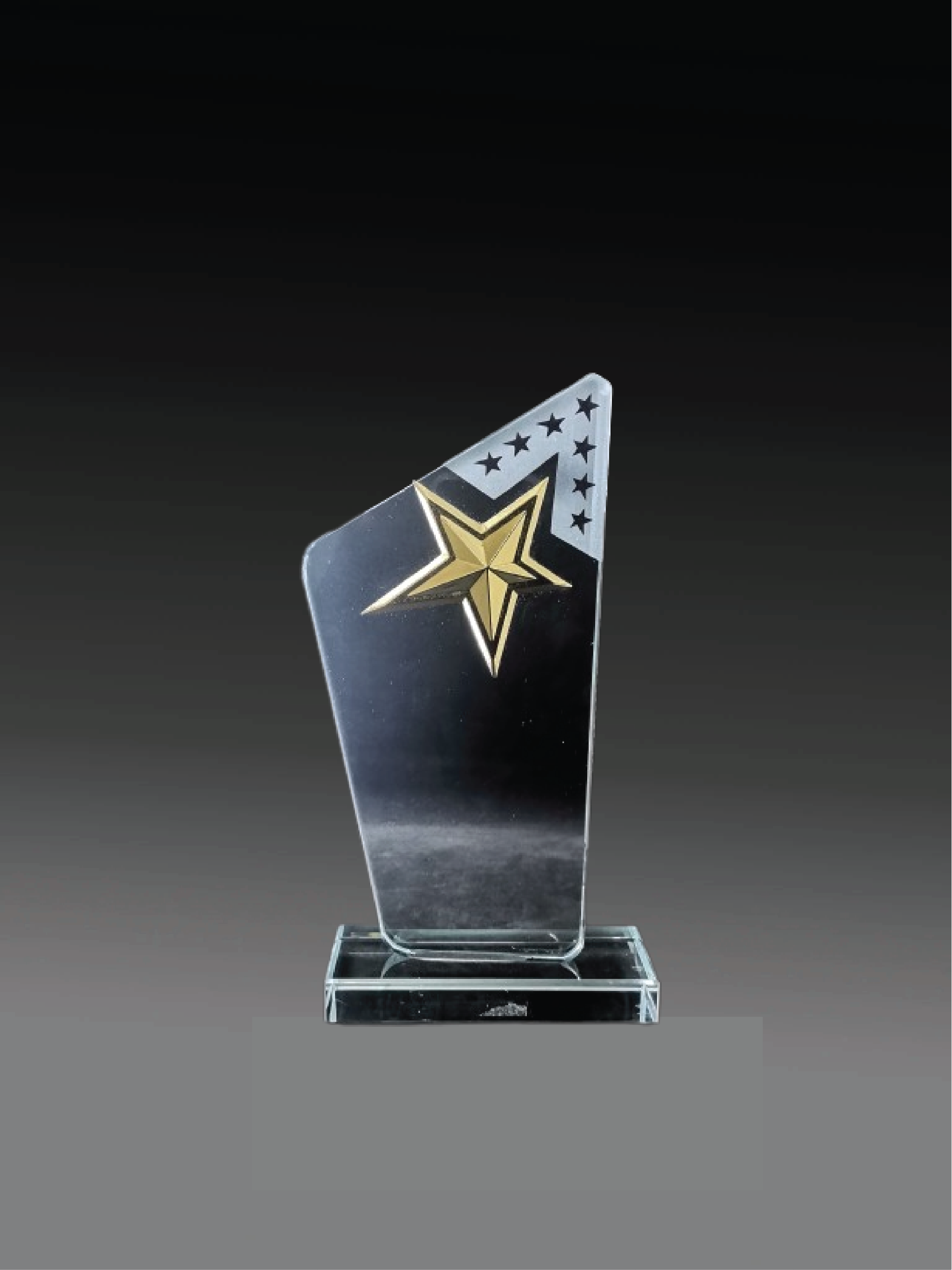 C51 Crystal Trophy