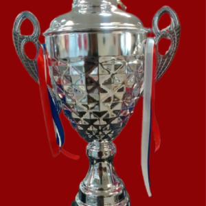 T235 SL 54 CM STEEL TROPHY SILVER LARGE