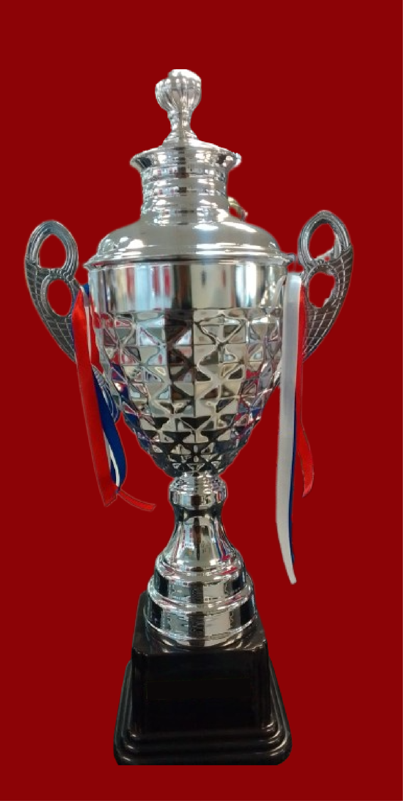 T235 SL 54 CM STEEL TROPHY SILVER LARGE