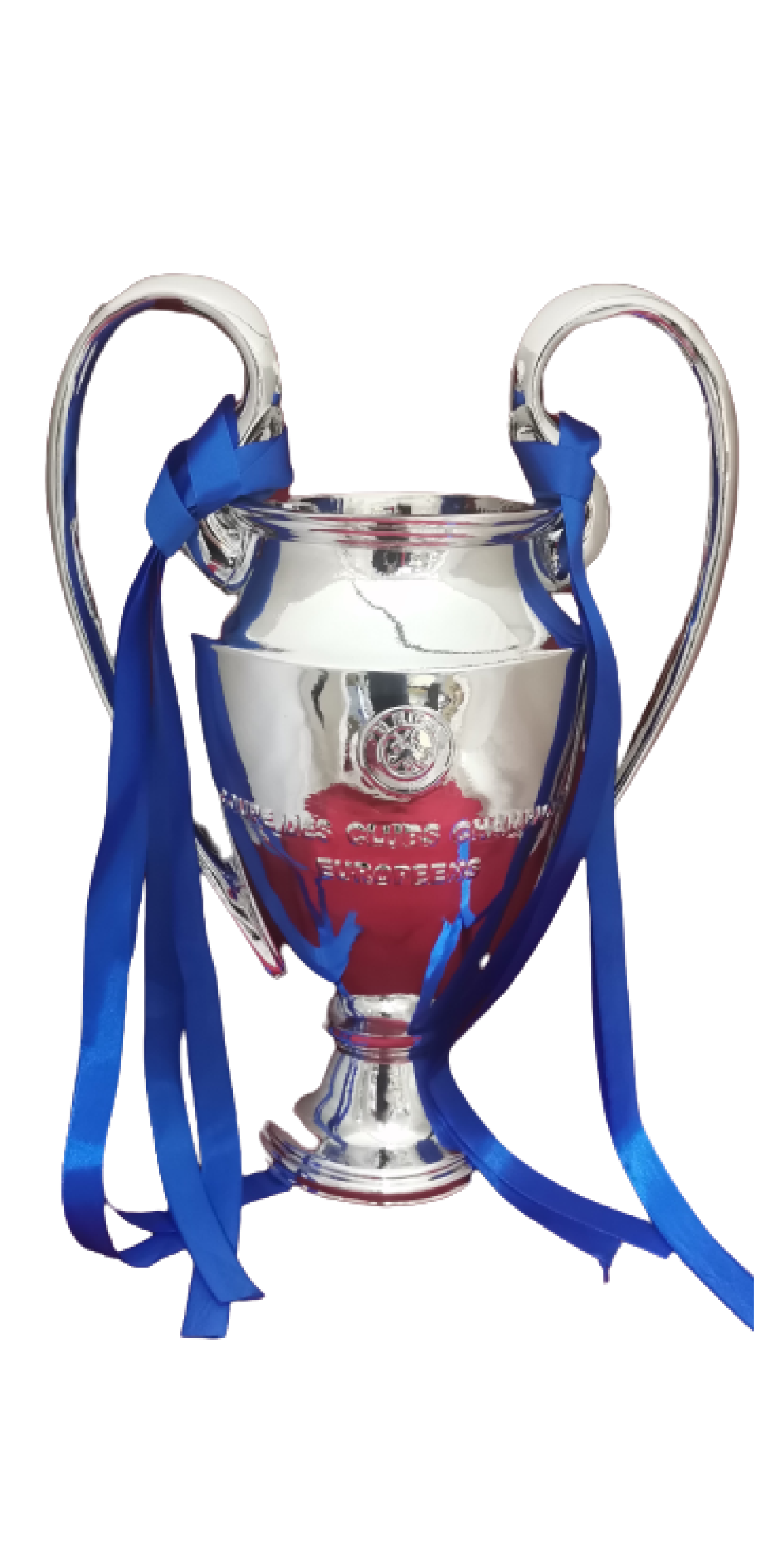 T256 RESIN UEFA SILVER TROPHY 30cm