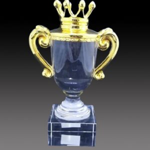 C240 CRYSTAL TROPHY