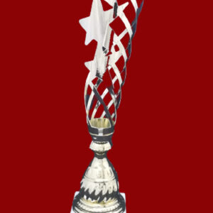 T263 STEEL TROPHY