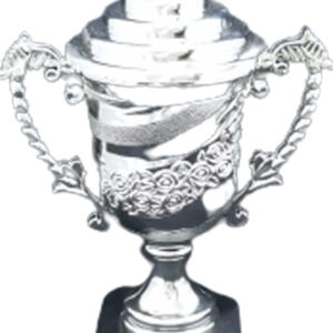 T280 SILVER Plastic Trophy