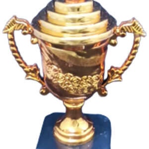 T281 BRONZE Plastic Trophy