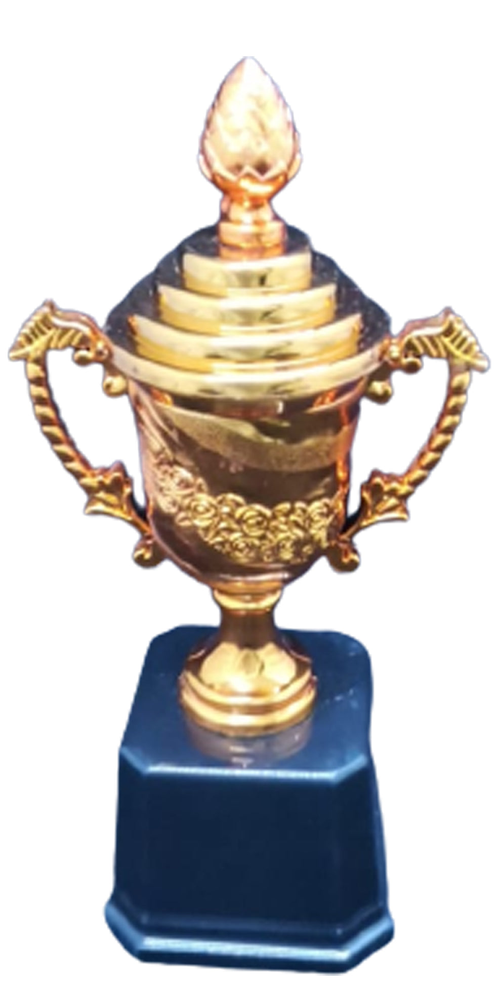 T281 BRONZE Plastic Trophy