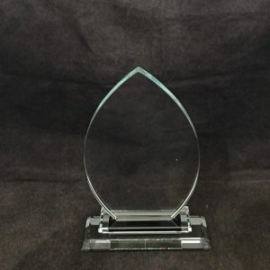 C255-L Crystal Trophy